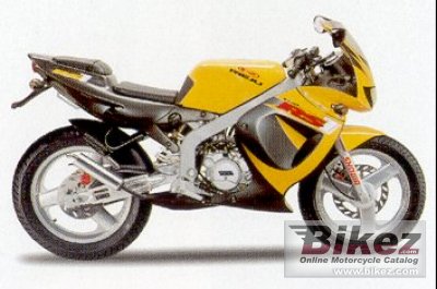 2003 Rieju RS-1 Evolution Racing photo